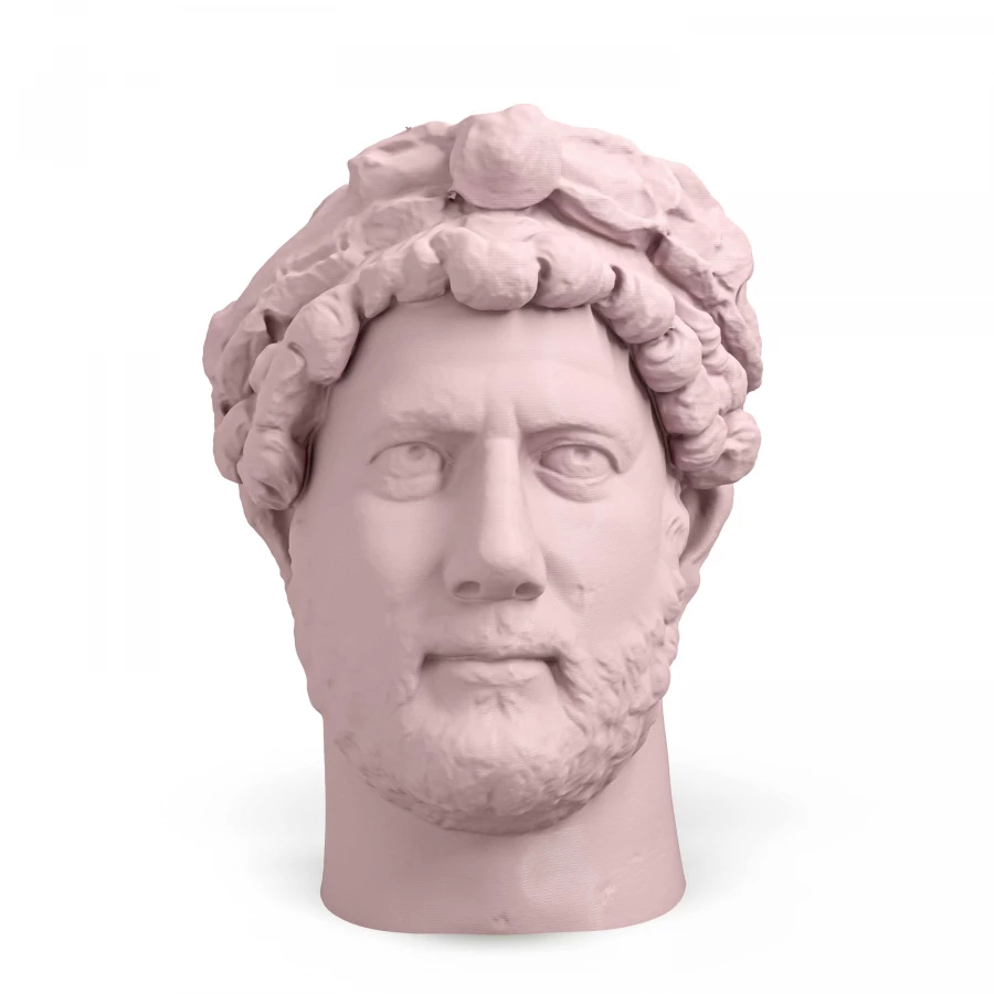 dh pink