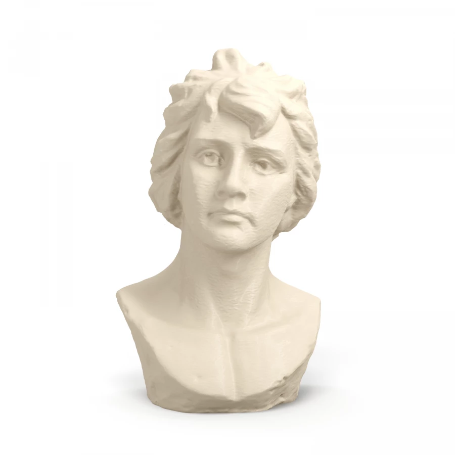 Bertolino Bust of a Woman