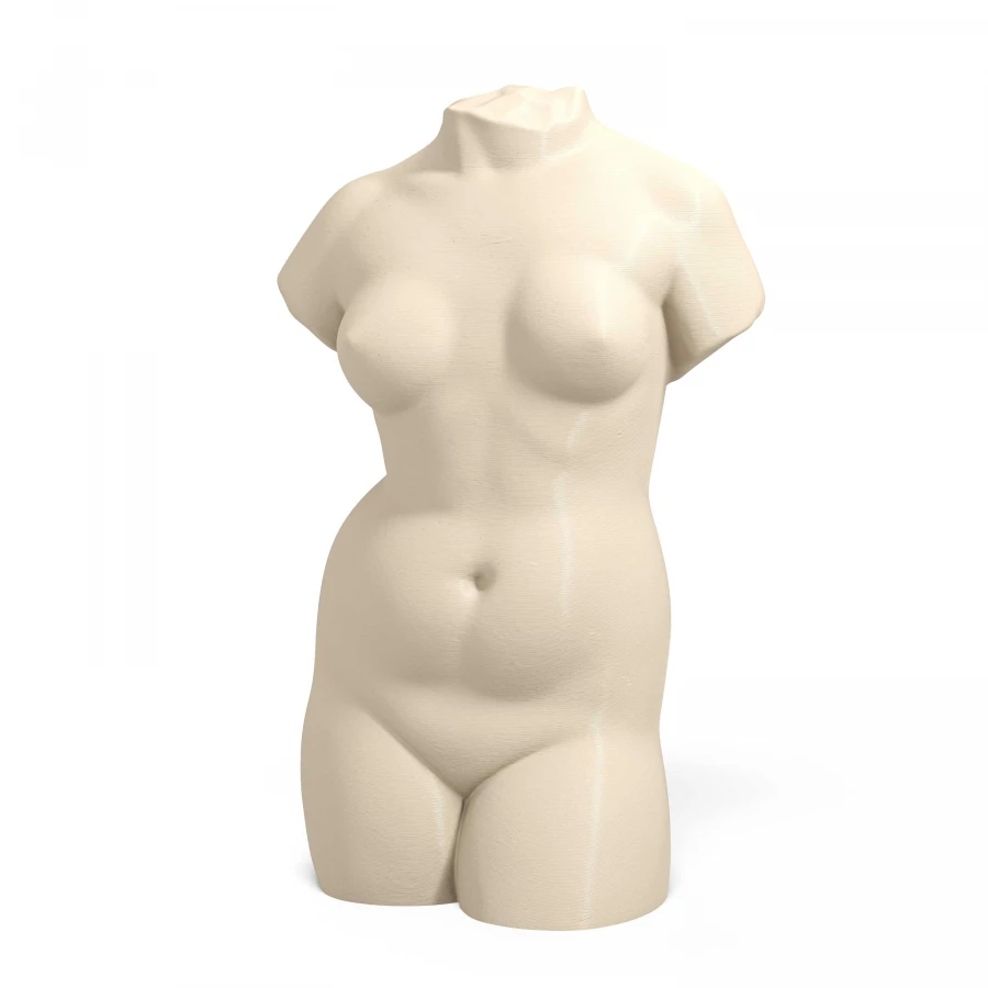 1940s Neoclassical Female Torso