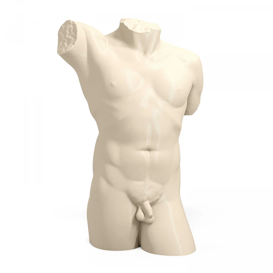 1940s Neoclassical Male Torso