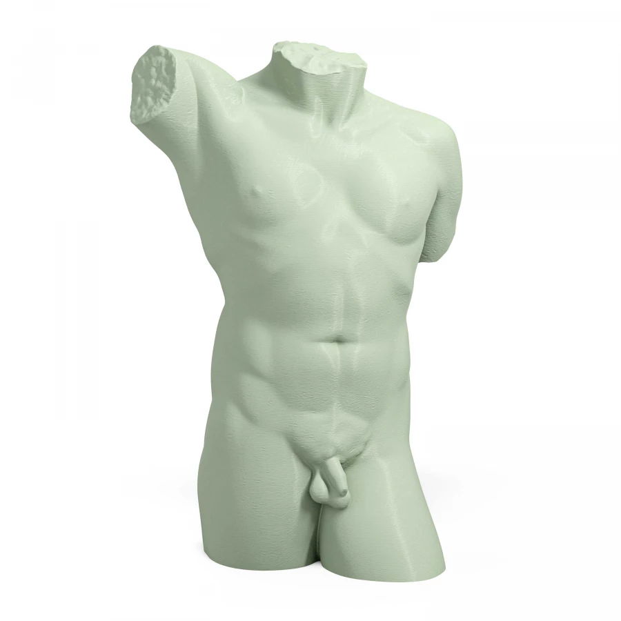 1940s Neoclassical Male Torso
