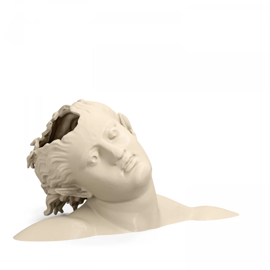 Bust of the Dancing Satyr di Mazara