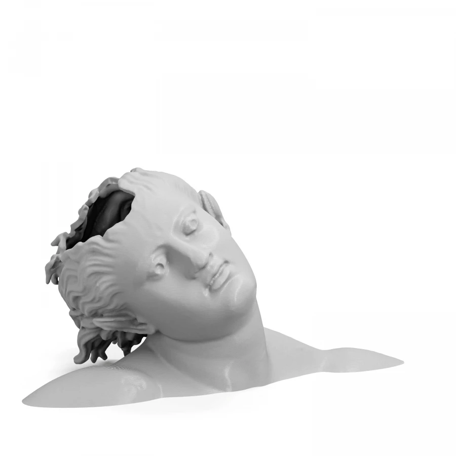 Bust of the Dancing Satyr di Mazara