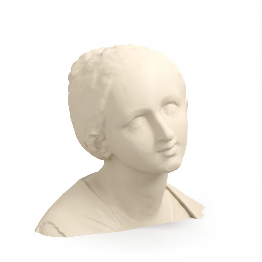 Serpotta Head of a Woman
