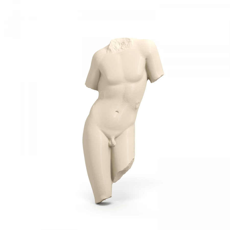 Phoenician Male Torso