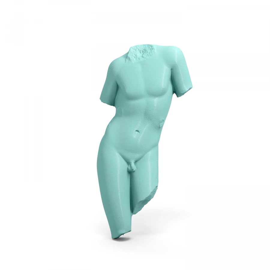 Phoenician Male Torso